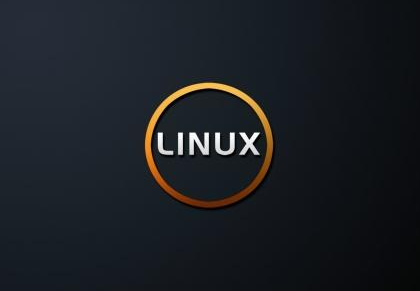 租用物理服务器为什么建议安装Linux系统?