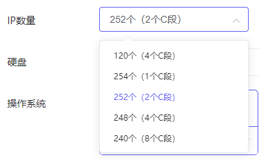 多C段站群服务器